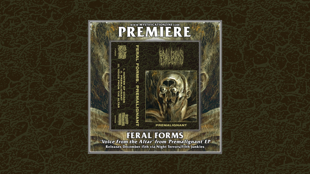 FERAL FORMS - NEW TRACK PREMIERE