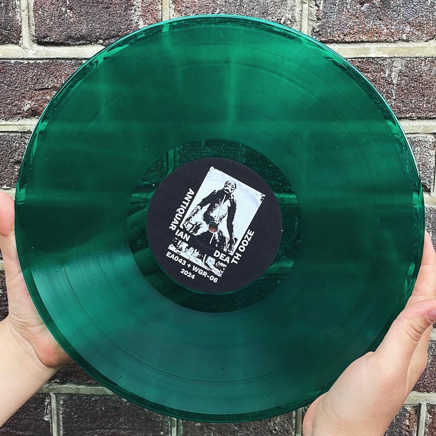 Dipygus "Demo MMXV" LP