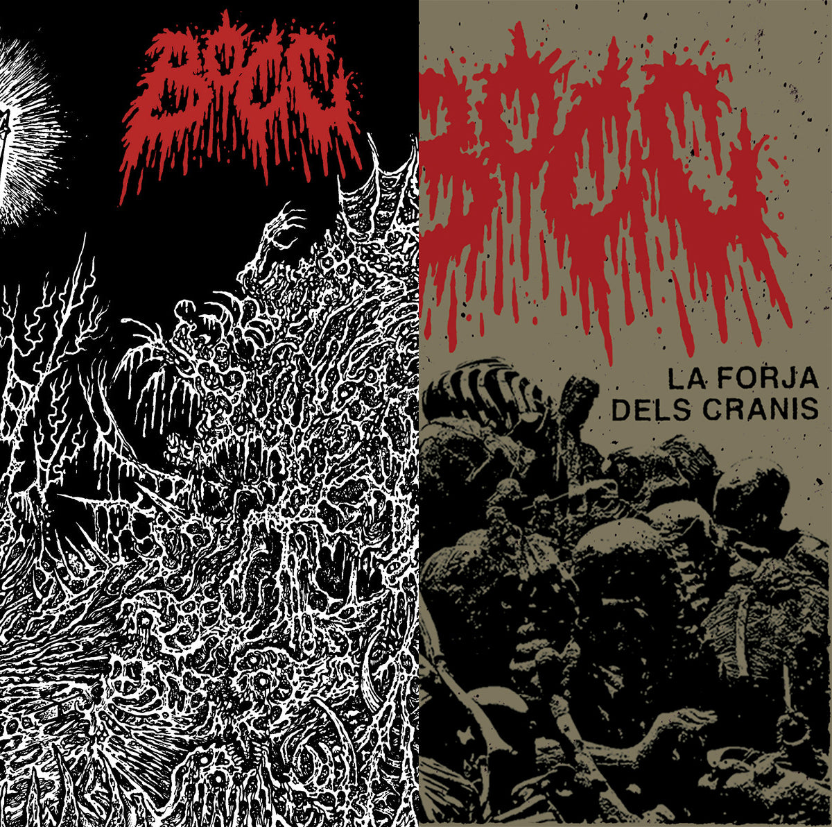 BOCC X2 CASSETTE BUNDLE