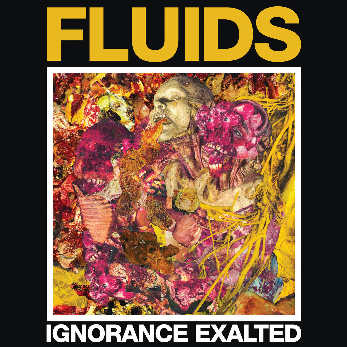 Fluids "Ignorance Exalted" TAPE