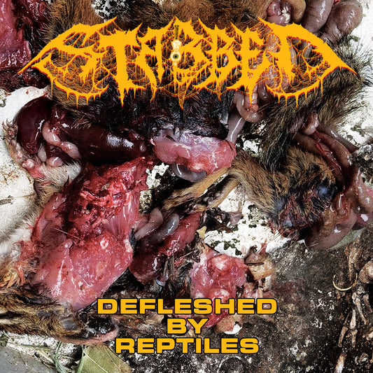 Stabbed "Defleshed By Reptiles" TAPE