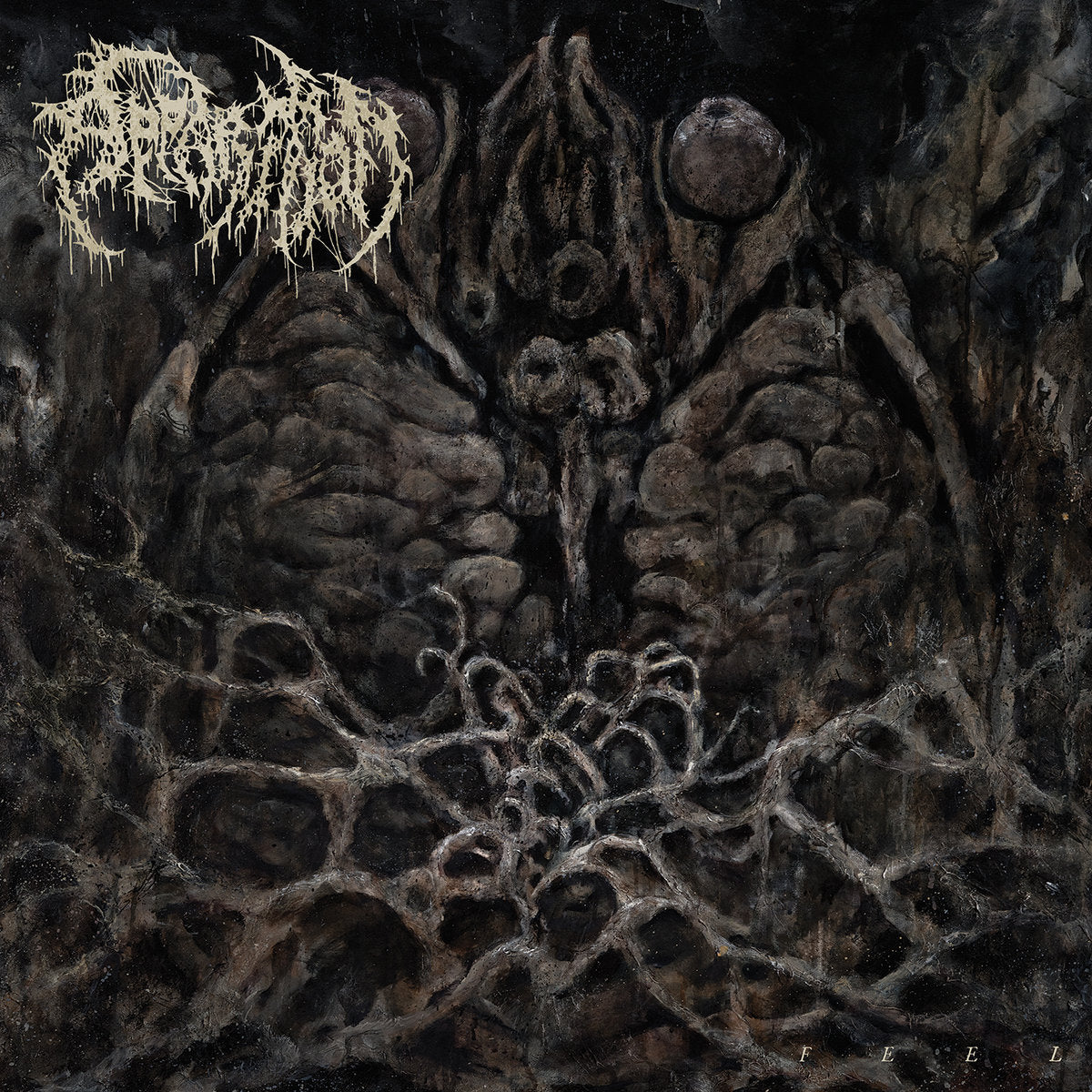 Apparition "Feel" LP