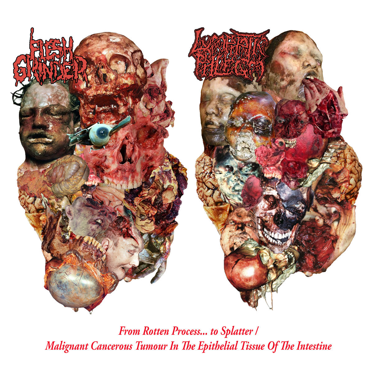 Lymphatic Phlegm / Flesh Grinder "Split" TAPE