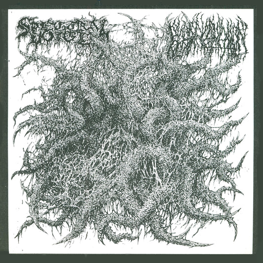 Spectral Voice / Blood Incantation "Split EP" 7″