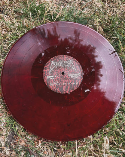 REEKMIND "Mired In The Reek Of Grief" LP