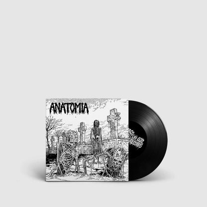 Anatomia / Druid Lord "Split" 7”