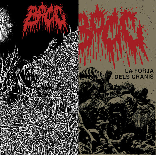 BOCC X2 CASSETTE BUNDLE