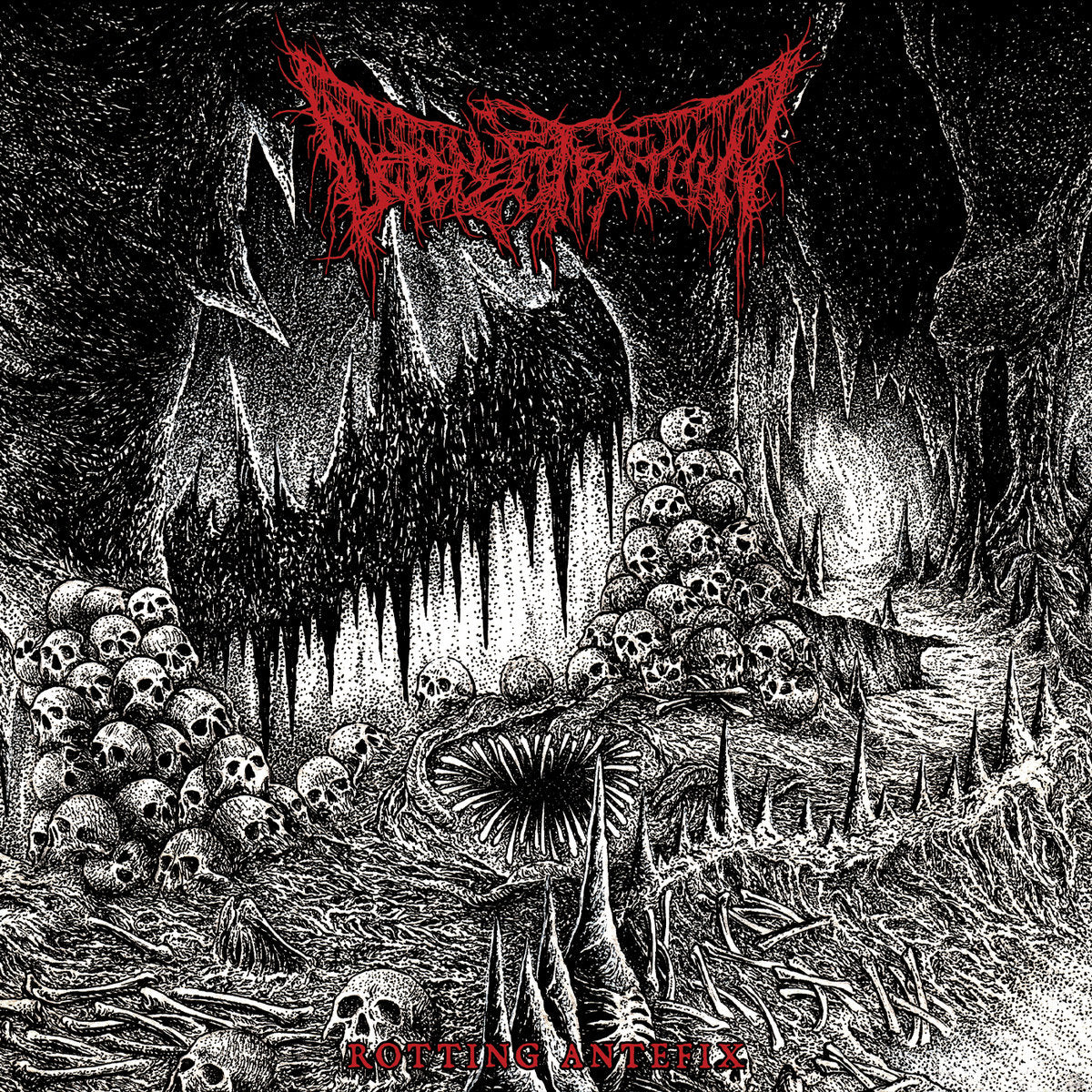 Defenestration "Rotting Antefix" CD