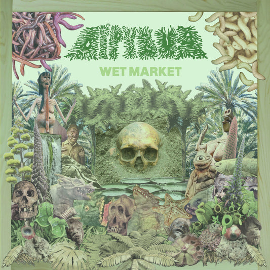 Dipygus "Wet Market EP" LP