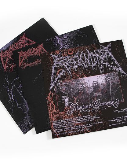 REEKMIND "Glints From The Crematorium" 12"