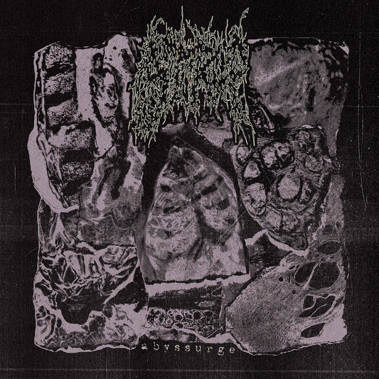 Strup "Abyssurge" LP