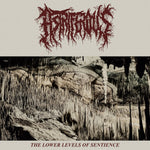 Astriferous "The Lower Levels of Sentience" LP
