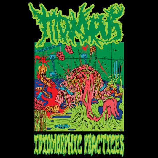 Moiscus "Idiomorphic Practices" TAPE