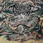Mvltifission “Decomposition in the Painful Metamorphosis” LP