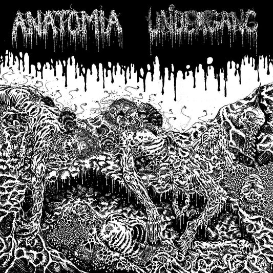 Anatomia / Undergang "Split" LP