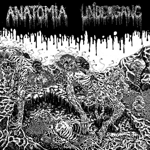 Anatomia / Undergang "Split" LP